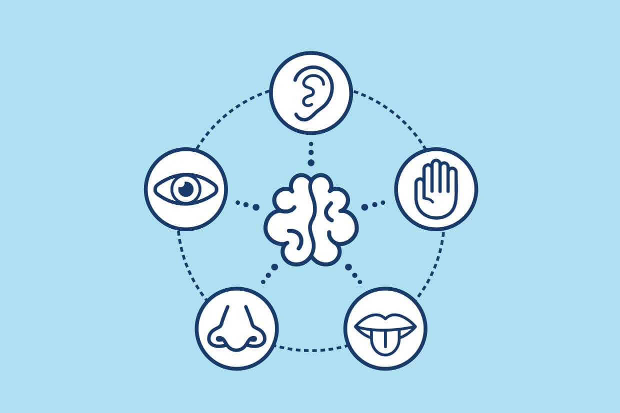 The 5 senses applied to marketing