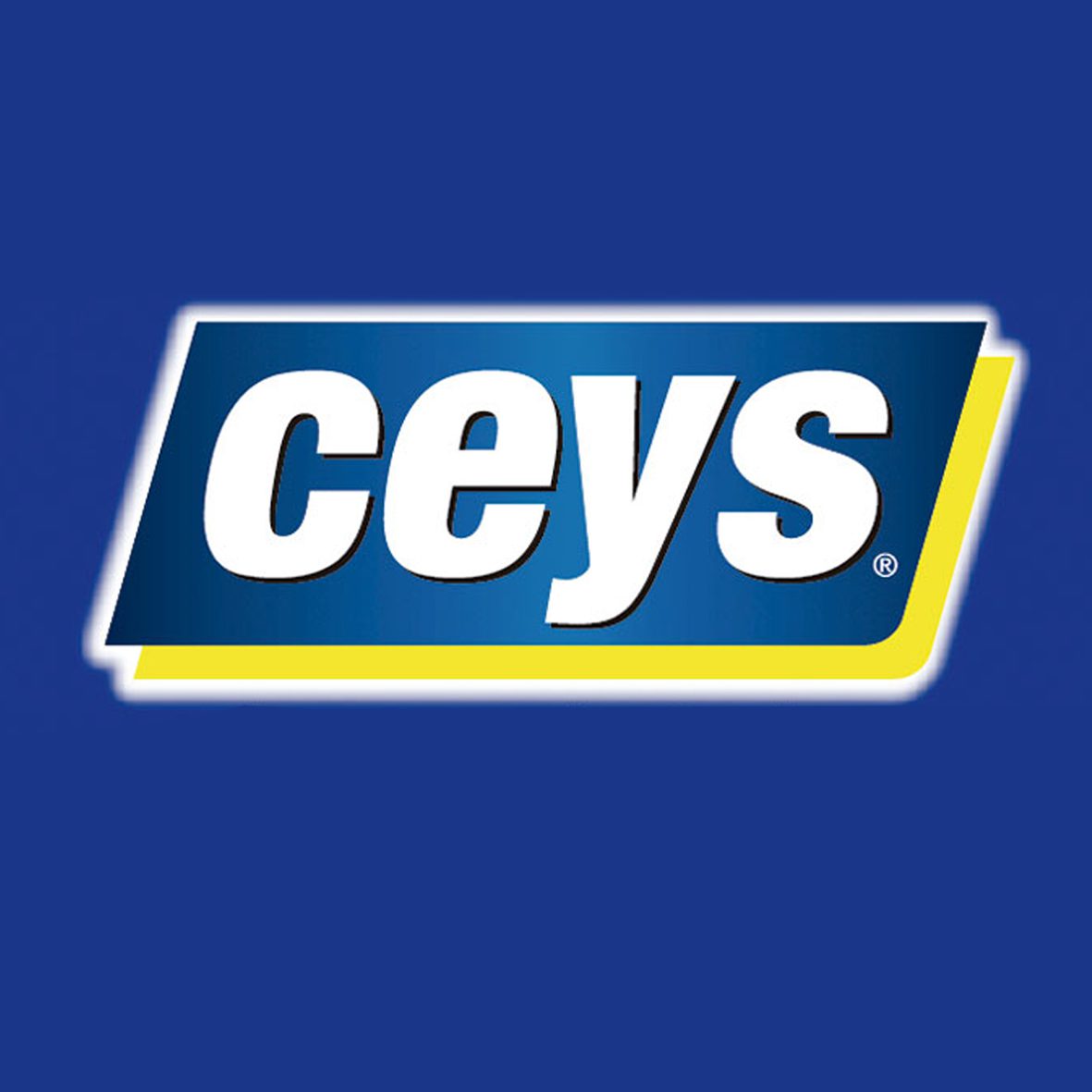 Logo de Ceys